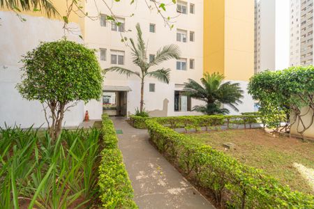 Apartamento para alugar com 55m², 2 quartos e 1 vaga Apartamento para alugar com 55m², 2 quartos e 1 vagaÁrea comum