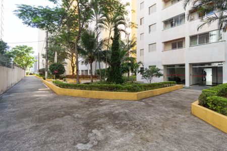 Apartamento para alugar com 55m², 2 quartos e 1 vaga Apartamento para alugar com 55m², 2 quartos e 1 vagaÁrea comum