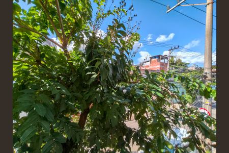Apartamento para alugar com 90m², 3 quartos e sem vagaVista do Quarto 1