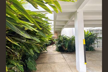 Casa à venda com 329m², 3 quartos e 5 vagas