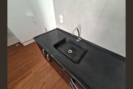 Cozinha de apartamento para alugar com 2 quartos, 35m² em Parque Pan Americano, São Paulo
