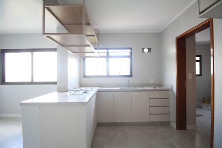 Apartamento à venda com 195m², 3 quartos e 4 vagasCozinha - Armários