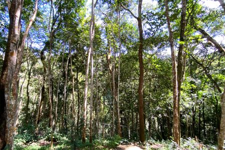 Casa de condomínio à venda com 488m², 4 quartos e 4 vagasBosque