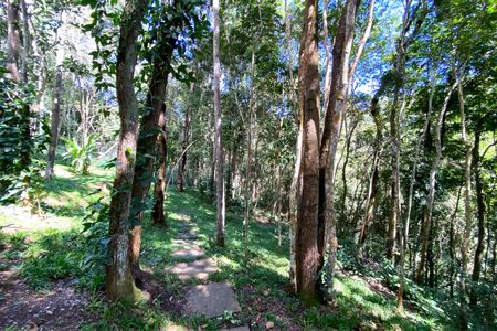 Casa de condomínio à venda com 488m², 4 quartos e 4 vagasBosque