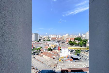 Apartamento para alugar com 63m², 2 quartos e 2 vagasBanheiro da Vista