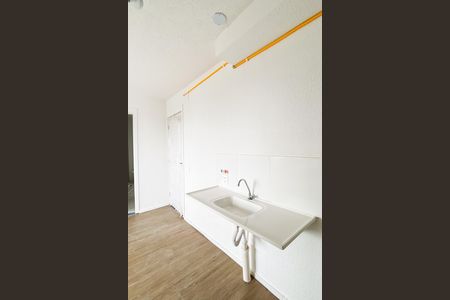 Apartamento para alugar com 34m², 2 quartos e sem vagaCozinha 