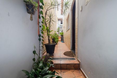 Casa para alugar com 245m², 3 quartos e 1 vaga Casa para alugar com 245m², 3 quartos e 1 vagaCorredor Externo