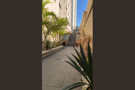 Área externa de apartamento à venda com 2 quartos, 55m² em Cidade Ademar, São Paulo