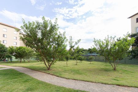 Apartamento para alugar com 56m², 3 quartos e 1 vaga Apartamento para alugar com 56m², 3 quartos e 1 vagaÁrea comum
