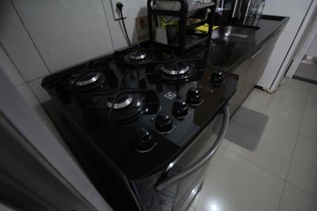 Apartamento à venda com 54m², 2 quartos e 1 vagaCozinha - Armários