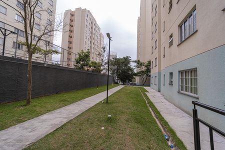 Apartamento para alugar com 53m², 2 quartos e 1 vaga Apartamento para alugar com 53m², 2 quartos e 1 vagaÁrea comum