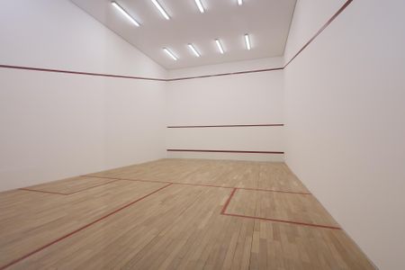Studio para alugar com 56m², 1 quarto e 1 vagaSquash
