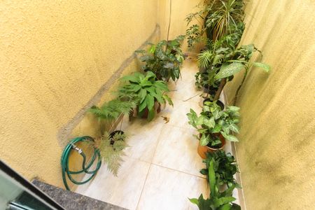 Jardim de Inverno de casa para alugar com 3 quartos, 123m² em Vila Progresso (zona Leste), São Paulo