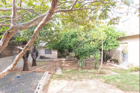 Casa à venda com 596m², 3 quartos e 2 vagas Casa à venda com 596m², 3 quartos e 2 vagasQuintal
