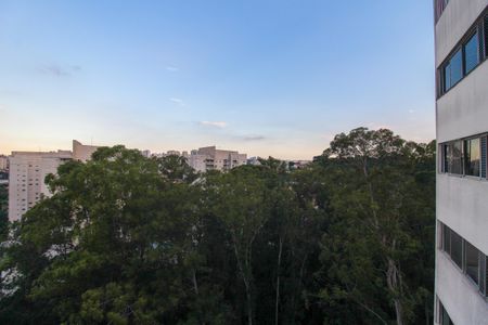 Apartamento para alugar com 64m², 3 quartos e 1 vagaVista da Sala