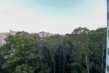 Vista do Quarto 1 de apartamento para alugar com 2 quartos, 64m² em Jardim Olympia, São Paulo