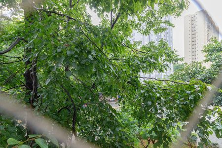 Apartamento à venda com 47m², 2 quartos e 1 vagaVista Quarto 1