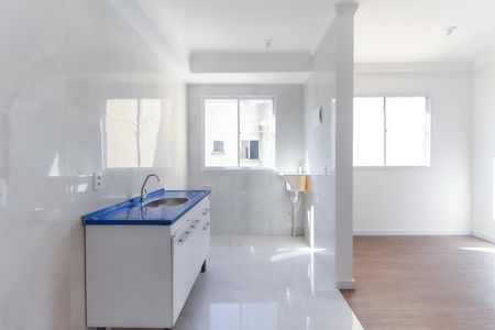 Apartamento para alugar com 47m², 2 quartos e sem vaga Apartamento para alugar com 47m², 2 quartos e sem vagaCozinha - Área de Serviço