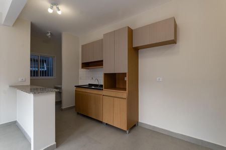 Apartamento para alugar com 46m², 2 quartos e sem vaga Apartamento para alugar com 46m², 2 quartos e sem vagaCozinha Americana