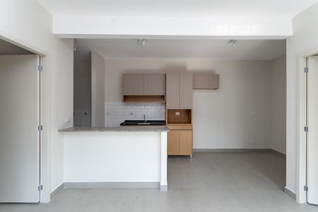 Apartamento para alugar com 46m², 2 quartos e sem vaga Apartamento para alugar com 46m², 2 quartos e sem vagaCozinha Americana