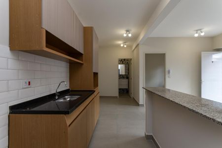 Apartamento para alugar com 46m², 2 quartos e sem vaga Apartamento para alugar com 46m², 2 quartos e sem vagaCozinha Americana