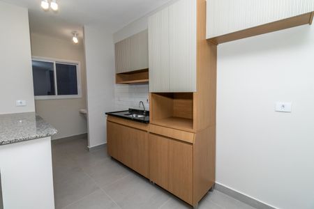 Apartamento para alugar com 46m², 2 quartos e sem vaga Apartamento para alugar com 46m², 2 quartos e sem vagaCozinha