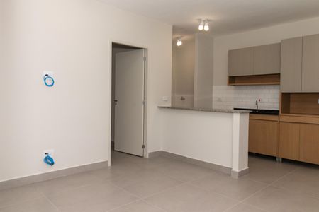 Sala de apartamento para alugar com 2 quartos, 46m² em Barra Funda, São Paulo