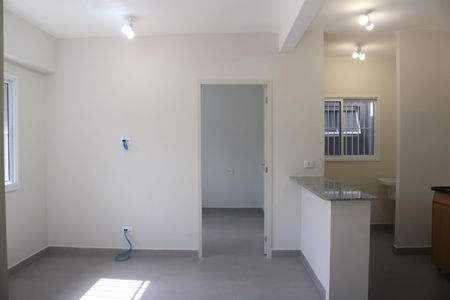 Sala de apartamento para alugar com 2 quartos, 46m² em Barra Funda, São Paulo