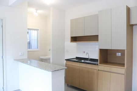 Apartamento para alugar com 46m², 2 quartos e sem vagaCozinha