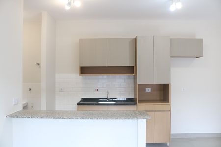 Apartamento para alugar com 46m², 2 quartos e sem vagaCozinha