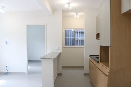 Apartamento para alugar com 46m², 2 quartos e sem vagaCozinha