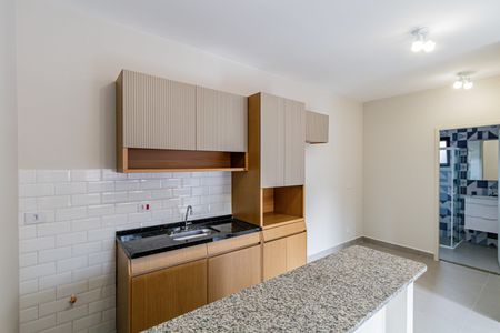 Cozinha de apartamento para alugar com 2 quartos, 46m² em Barra Funda, São Paulo