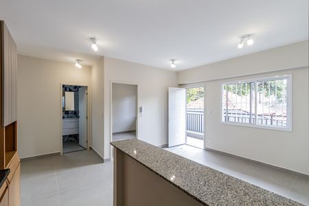 Studio de apartamento para alugar com 2 quartos, 46m² em Barra Funda, São Paulo