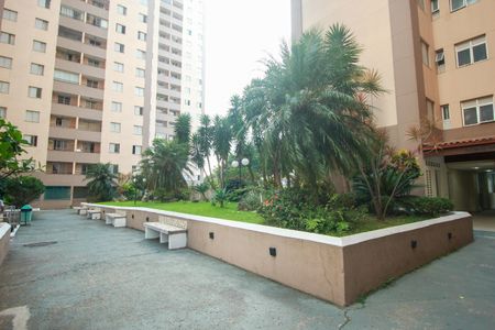 Apartamento para alugar com 64m², 3 quartos e 1 vagaÁrea Verde