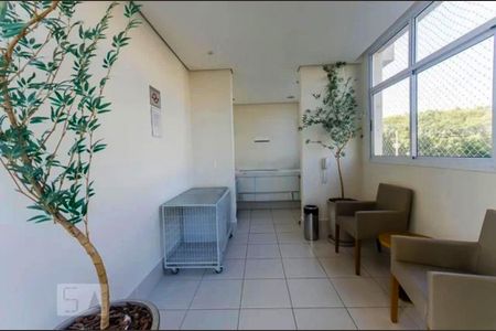 Apartamento à venda com 70m², 3 quartos e 1 vaga Apartamento à venda com 70m², 3 quartos e 1 vagaPet Care