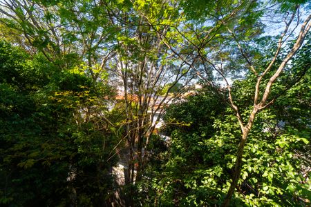 Apartamento à venda com 86m², 3 quartos e 1 vagaVista da Sala