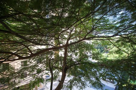 Apartamento para alugar com 72m², 3 quartos e 1 vagaVista da Varanda da Sala