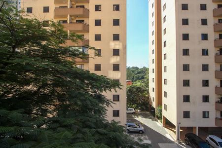 Apartamento para alugar com 72m², 3 quartos e 1 vagaVista do Quarto 2