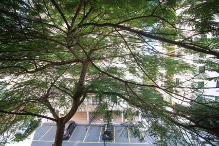 Apartamento para alugar com 72m², 3 quartos e 1 vagaVista do Quarto 3