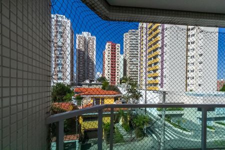 Vista da Suíte de apartamento para alugar com 2 quartos, 80m² em Baeta Neves, São Bernardo do Campo