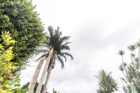 Casa de condomínio para alugar com 450m², 2 quartos e 5 vagasVista