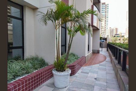 Apartamento para alugar com 66m², 2 quartos e 2 vagasÁrea comum