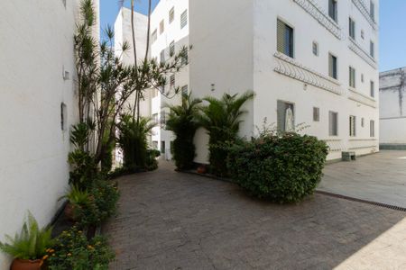 Apartamento para alugar com 50m², 3 quartos e 1 vagaÁrea comum