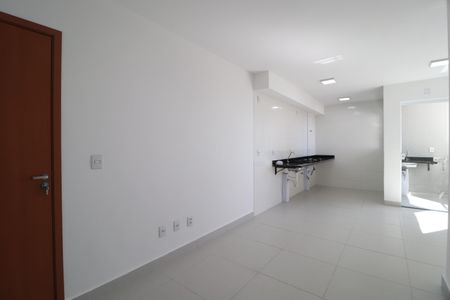 Sala de apartamento para alugar com 2 quartos, 58m² em Dona Zulmira, Uberlândia