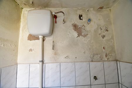 Casa à venda com 350m², 3 quartos e 3 vagasBanheiro de serviço
