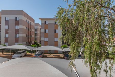 Vista Quarto 1 de apartamento para alugar com 2 quartos, 48m² em Jardim Recanto dos Sonhos, Sumaré