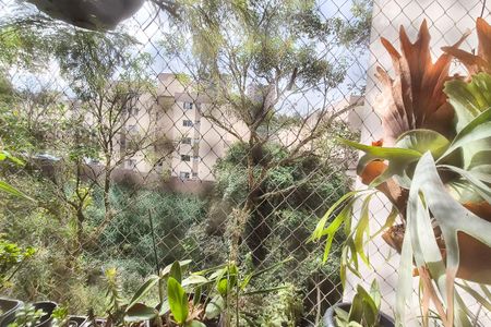 Sala - vista de apartamento à venda com 3 quartos, 68m² em Demarchi, São Bernardo do Campo
