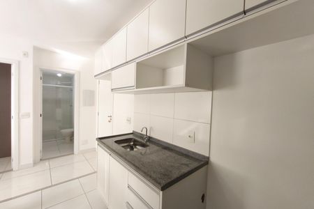 Cozinha de apartamento para alugar com 2 quartos, 46m² em Jardim Ipaussurama, Campinas