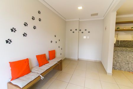 Apartamento para alugar com 33m², 2 quartos e sem vaga Apartamento para alugar com 33m², 2 quartos e sem vagaPet care