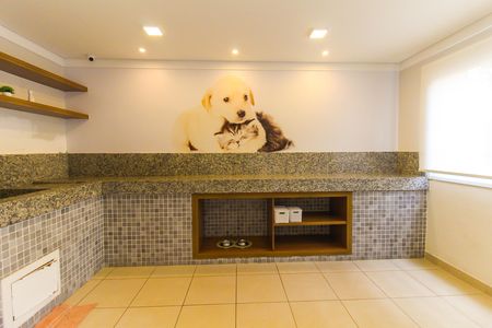 Apartamento para alugar com 33m², 2 quartos e sem vaga Apartamento para alugar com 33m², 2 quartos e sem vagaPet care